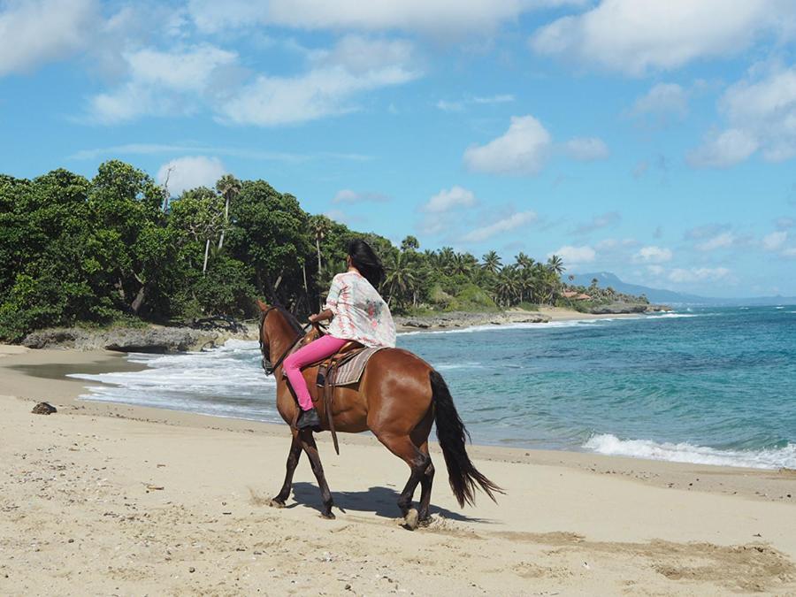 Vila Sea Horse Ranch La Mulata Exteriér fotografie